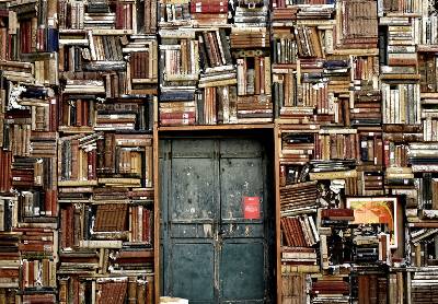 Der Bücherwurm